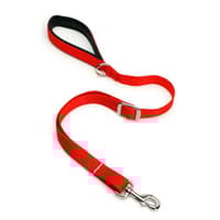 Dog Collars & Leashes - Leashes